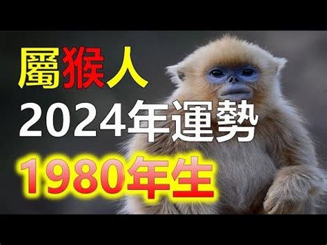 1980屬什麼|【1980 生肖 屬性】1980年屬猴五行屬什麼？命運如何？